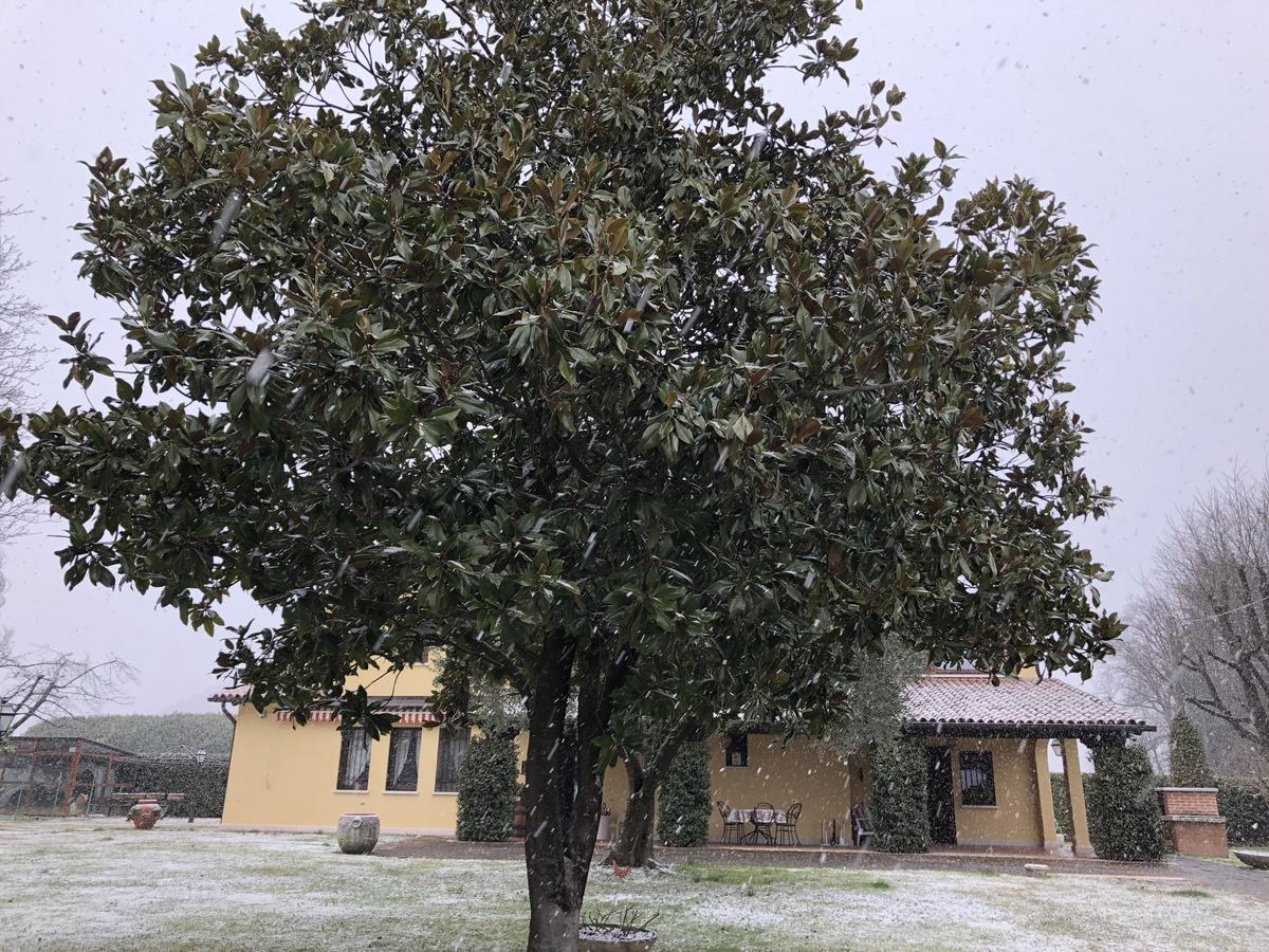 Romano D'Ezzelino Le Tre Querce B&B المظهر الخارجي الصورة